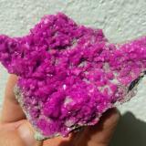 Dolomita (variedad dolomita cobaltífera)<br />Mina Aghbar (Mina Arhbar), Distrito minero Bou Azzer, Provincia Zagora, Región Drâa-Tafilalet, Marruecos<br />8,0 x 6,0 cm.<br /> (Autor: carles)