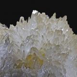 Celestina, Azufre<br />Mina Machów, Tarnobrzeg, Voivodato Subcarpacia, Polonia<br />8,1 x 7,3 cm<br /> (Autor: Xavier bordas)