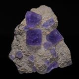 Fluorite<br />Huraiskoye (Hurayskoye) deposit, Jidinskiy district, Buriatia Republic, Zabaykalsky Krai, Russia<br />7.6 x 6.4 cm<br /> (Author: am mizunaka)