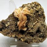 Barita<br />Mina Atrevida, Vimbodí i Poblet, Comarca Conca de Barberà, Tarragona, Cataluña / Catalunya, España<br />6x5cm<br /> (Autor: Adri Rodríguez)
