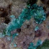 Tyrolita (Tirolita)<br />Mina La Encontrada, Los Tejares, Ítrabo-Molvízar, Comarca Costa Granadina, Granada, Andalucía, España<br />3´7 x 3´4 mm.<br /> (Autor: Jesus Franquesa Baucells)