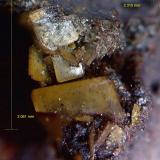 Barita.Corta Santa Matilde, grupo minero Berja, Las Herrerías, Sierra Almagrera, Cuevas del Almanzora, Comarca Levante Almeriense, Almería, Andalucía, España2´31 x 2´06 mm. (Autor: Jesus Franquesa Baucells)