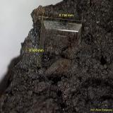 Barita.Corta Santa Matilde, grupo minero Berja, Las Herrerías, Sierra Almagrera, Cuevas del Almanzora, Comarca Levante Almeriense, Almería, Andalucía, España0´90 x 0´73 mm. (Autor: Jesus Franquesa Baucells)