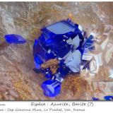 Azurite and Baryte<br />Cap Garonne Mine, Le Pradet, Toulon, Var, Provence-Alpes-Côte d'Azur, France<br />fov 1.7 mm<br /> (Author: ploum)