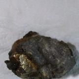 Pyrite<br />Rensselaer Quarry, Rensselaer, Marion Township, Jasper County, Indiana, USA<br /><br /> (Author: R Saunders)
