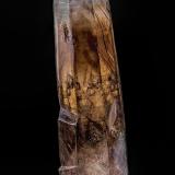 Quartz (variety smoky quartz)<br />Sierra Blanca, Sacramento Mountains, White Mountain Wilderness, Lincoln County, New Mexico, USA<br />9.6 x 2.0 cm<br /> (Author: am mizunaka)