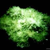 Yeso (variedad selenita)Whyalla, Península Eyre, Australia Meridional, Australia120x90 mm. (Autor: Jesus Franquesa Baucells)