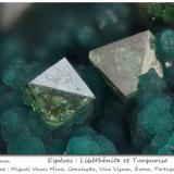 Libethenite and Turquoise<br />Miguel Vacas Mine, Pardais and Conceição Parish, Vila Viçosa, Évora District, Alentejo Central Province, Alentejo Region, Portugal<br />fov 2.0 mm<br /> (Author: ploum)