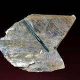 Elbaita (Grupo Turmalina) en Moscovita<br />Mina Bob Ingersoll, Keystone, Distrito Keystone, Condado Pennington, South Dakota, USA<br />7 x 6 cm.<br /> (Autor: Antonio P. López)