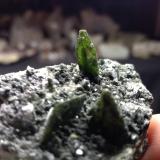 Titanite<br />Aurina Valley (Ahrnbach Valley), Bolzano Province, Trentino-Alto Adige (Trentino-Südtirol), Italy<br />6 cm x 4,2 cm<br /> (Author: Sante Celiberti)