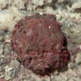 Cinabrio<br />Mina Siele, Monte Amiata, Piancastagnaio, Provincia Siena, Toscana, Italia<br />18 mm<br /> (Autor: Sante Celiberti)