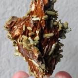 Piromorfita, Barita<br />Mina Les Farges (Mina Des Farges), Ussel, Corrèze, Nouvelle-Aquitaine, Francia<br />6,8 x 4,5 cm.<br /> (Autor: Carles)
