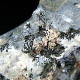 Petarasita, Aegirina<br />Cantera Poudrette, Mont Saint-Hilaire, La Vallée-du-Richelieu RCM, Montérégie, Québec, Canadá<br />Campo de visión 4 cm.<br /> (Autor: Antonio P. López)