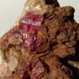 Cinabrio<br />Fosso del Confine, Roccastrada, Provincia Grosseto, Toscana, Italia<br />44 mm x 39 mm<br /> (Autor: Sante Celiberti)