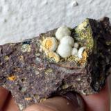 Calcita<br />Pedrera Can Súria (Pedrera Guixeres), Maçanet de la Selva, Comarca La Selva, Gerona / Girona, Cataluña / Catalunya, España<br />7,5 x 4,6 cm.<br /> (Autor: Carles)