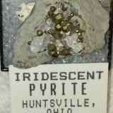 Pyrite and Calcite<br />C. E. Duff & Son Quarry, Huntsville, Logan County, Ohio, USA<br />32 mm<br /> (Author: R Saunders)