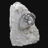 Calcita, Girolita<br />Maharashtra, India<br />6,3 x 4,5 cm.<br /> (Autor: Xavier bordas)