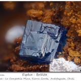 Boleite<br />La Compañía Mine, Caracoles, Sierra Gorda District, Tocopilla Province, Antofagasta Region, Chile<br />fov 1.8 mm<br /> (Author: ploum)