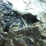 Pirita, Magnetita, CalcitaSan Guillermo Claim, Jerez de los Caballeros, Comarca Sierra Suroeste, Badajoz, Extremadura, Spain7 x 5 cm (Autor: javier ruiz martin)