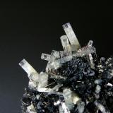 Berilo (variedad aguamarina) en Schorlo (Chorlo)Monte Erongo, Usakos, Región Erongo, NamibiaCristales de 2 cm. (Autor: Antonio P. López)