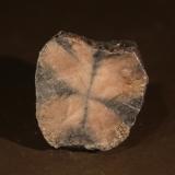 Andalusite (variety chiastolite)<br />Australia<br />34mm x 36mm x 13mm<br /> (Author: Firmo Espinar)