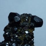 Grupo Granate y MagnetitaBurguillos del Cerro, Comarca Zafra-Río Bodión, Badajoz, Extremadura, Spain6 x 3,5 cm. (Autor: javier ruiz martin)