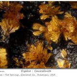 Cacoxenite<br />Hot Springs, Garland County, Arkansas, USA<br />fov 2.2 mm<br /> (Author: ploum)