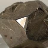 Pirita<br />Mina Rio (Mina Rio Marina), realce Valle Giove, Rio Marina, Isla de Elba, Provincia Livorno, Toscana, Italia<br />26 x 18 mm.<br /> (Autor: Sante Celiberti)