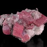 Rhodochrosite, QuartzIdaho Springs, Clear Creek County, Colorado, USA4.2 x 3.2 cm (Author: am mizunaka)