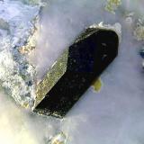 Neptunita<br />Mina California State Gem (Benitoite Gem Mine), Zona San Benito River headwaters, Pico Santa Rita, Distrito New Idria, Condado San Benito, California, USA<br />Cristal de 6 mm.<br /> (Autor: Antonio P. López)