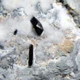 Neptunita<br />Mina California State Gem (Benitoite Gem Mine), Zona San Benito River headwaters, Pico Santa Rita, Distrito New Idria, Condado San Benito, California, USA<br />Cristal mayor 6 mm.<br /> (Autor: Antonio P. López)