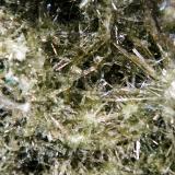 Diópsido<br />Mina Jeffrey, Asbestos, Les Sources RCM, Estrie, Québec, Canadá<br />Campo de visión 3 cm.<br /> (Autor: Antonio P. López)