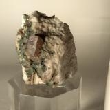 TitaniteCanteras Cadarese, Canteras Premia gneiss, Premia, Antigorio Valley, Valle Ossola, Provincia Verbano-Cusio-Ossola, Piamonte (Piemonte), Italia38,5 x 30,5 mm (Author: Sante Celiberti)