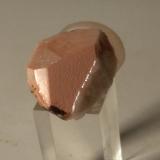 Orthoclase<br />Baveno, Maggiore Lake, Verbano-Cusio-Ossola Province, Piedmont (Piemonte), Italy<br />25 x 16 mm<br /> (Author: Sante Celiberti)