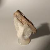 SillimanitePegmatitas Nibbio-Val Faera (Nibbio-Val Fredda), Mergozzo, Provincia Verbano-Cusio-Ossola, Piamonte (Piemonte), Italia50 x 39 mm (Author: Sante Celiberti)