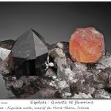 Fluorite on Quartz (variety smoky)Aiguille Verte, Mont Blanc, Chamonix, Haute-Savoie, Auvergne-Rhône-Alpes, Franciafov 100 mm (Author: ploum)