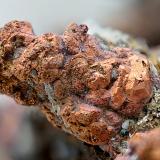 Cobre y Plata<br />Minas de El Horcajo, Pozo San Germán (Concesión "San Ceferino"), El Horcajo, Almodóvar del Campo, Comarca Campo de Calatrava, Ciudad Real, Castilla-La Mancha, España<br />Campo de visión de 10 mm<br /> (Autor: Antonio Carmona)