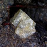 Scheelita.Mina Roca del Turó, Costabona, Espinavell (Espinabell), Molló, Comarca Ripollès, Gerona / Girona, Cataluña / Catalunya, España1´122 x 1´081 mm. (Autor: Jesus Franquesa Baucells)