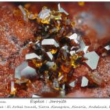 JarositeSocavón Santa Bárbara (El Arteal Tunnel), Almagrera Range, Cuevas del Almanzora, Comarca Levante Almeriense, Almería, Andalusia, Spainfov 1.8 mm (Author: ploum)