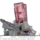 'Tourmaline' and Quartz<br />Paprok, Kamdesh District, Nuristan Province, Afghanistan<br />fov 40 mm<br /> (Author: ploum)