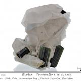 'Tourmaline' on Quartz<br />Stak Nala, Haramosh Mountains, Skardu District, Gilgit-Baltistan (Northern Areas), Pakistan<br />fov 150 mm<br /> (Author: ploum)