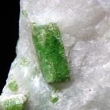 Pargasita<br />Luc Yen, Provincia Yenbai, Vietnam<br />Cristal de 1,8 cm.<br /> (Autor: Antonio P. López)