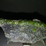 Andradite (variety demantoid)<br />Malenco Valley (Valmalenco), Sondrio Province, Lombardy, Italy<br />77 x 36 mm<br /> (Author: Sante Celiberti)