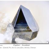 Anatase<br />Grand Pic de la Lauzière, La Lauzière Massif, Saint-Jean-de-Maurienne, Savoie, Auvergne-Rhône-Alpes, France<br />fov 2.1 mm<br /> (Author: ploum)