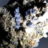 Bournonite, Pyrite, Calcite, Siderite<br />Brosso Mine, Cálea, Léssolo, Canavese District, Metropolitan City of Turin Province, Piedmont (Piemonte), Italy<br />62 x 49 mm<br /> (Author: Sante Celiberti)
