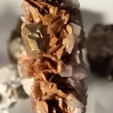 Pyrite, Calcite, Baryte, Siderite, TalcBrosso Mine, Cálea, Léssolo, Canavese District, Metropolitan City of Turin Province, Piedmont (Piemonte), Italy49 x 50 mm (Author: Sante Celiberti)