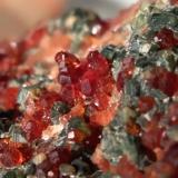 Grossular (variety hessonite), Diopside, Clinochlore<br />Bellecombe, Châtillon, Aosta Valley (Val d'Aosta), Italy<br />86 x 66 mm<br /> (Author: Sante Celiberti)