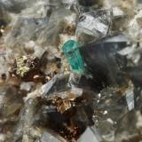 Beryl (variety emerald), Pyrite, Dolomite, Albite (variety cleavelandite)<br />Chivor mining district, Municipio Chivor, Eastern Emerald Belt, Boyacá Department, Colombia<br />26mm x 31mm x 21mm, xl=2mm<br /> (Author: Fiebre Verde)