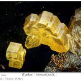 Vanadinite<br /><br />fov 0.55 mm<br /> (Author: ploum)