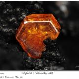 Vanadinite<br />Taouz, Er Rachidia Province, Drâa-Tafilalet Region, Morocco<br /><br /> (Author: ploum)